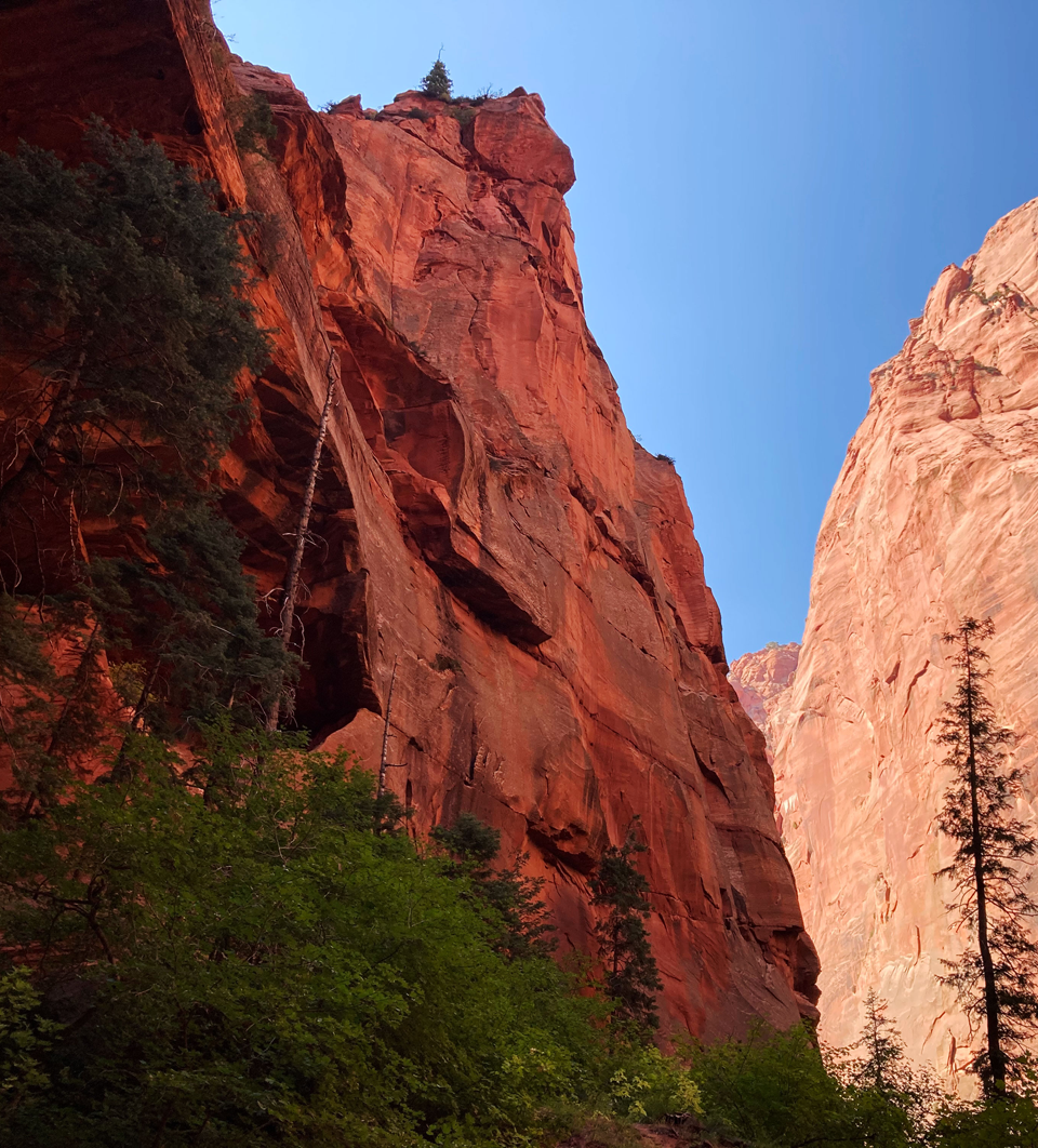 Kolob Canyon Taylor Creek Alcove